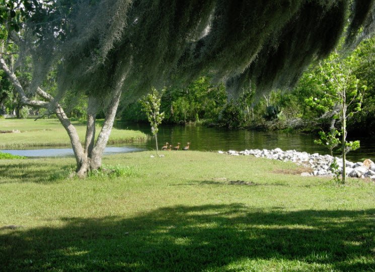 Fairview-Riverside State Park, Louisiana, USA